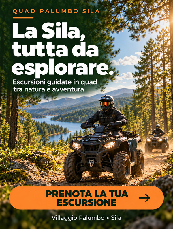 Quad Palumbo Sila — La Sila, tutta da esplorare. Escursioni guidate in quad tra natura e avventura.
