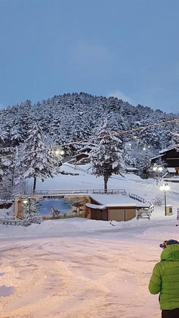 Villaggio Palumbosila sotto la neve